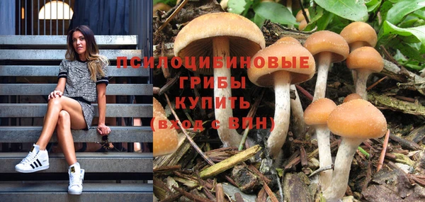 спайс Липки