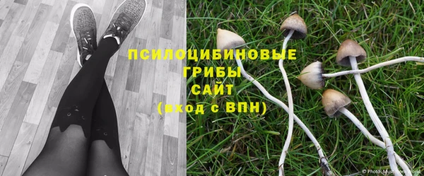 меф Алапаевск